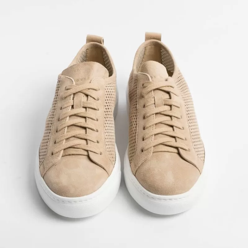 HENDERSON - Collezione Donna Henderson - Sneakers - Aria - Suede Beige<Collezione Scarpe Donna Sneakers